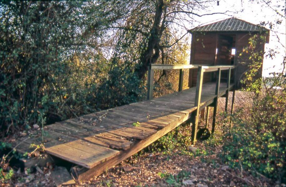 Apartmán Casa O'Lado Golegã Exteriér fotografie